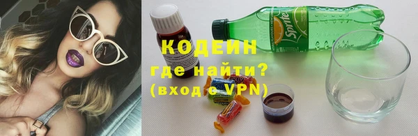 эйфоретик Бородино