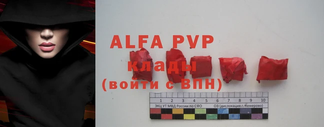 эйфоретик Бородино