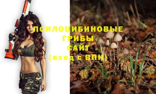 амф Бугульма