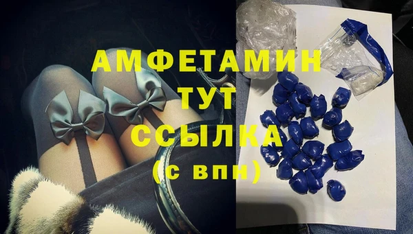 эйфоретик Бородино