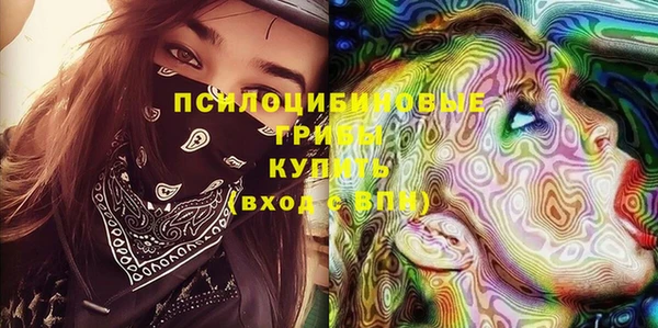 эйфоретик Бородино