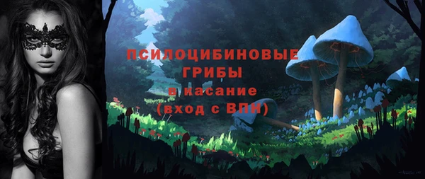 эйфоретик Бородино